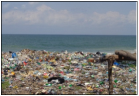 C:\Users\Funmi Dedire\Desktop\PhD HUB\IBEJU LEKKI FIELD WORK\DSC00094.JPG