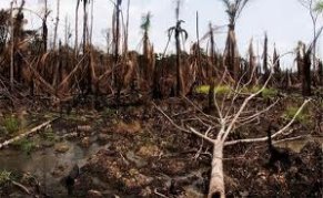 Description: C:\Users\USER\Downloads\images oil spill 2.jpg